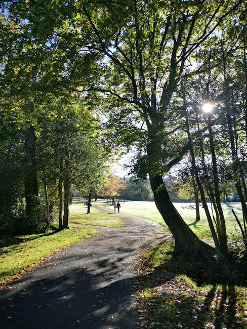 A shaded outdoor pathway within a park, with a dirt and gravel surface, winding through a green space lined with tall trees that have dense foliage and branches extending overhead. The sunlight filters through the leaves, casting dappled shadows on the ground. In the distance, two people are walking along the pathway near a grassy open area. The scene depicts a peaceful environment suitable for outdoor activities and leisurely walks, consistent with a typical park setting, as seen in a location that may require house removals or relocation services such as those provided by Man with Van Blackheath.